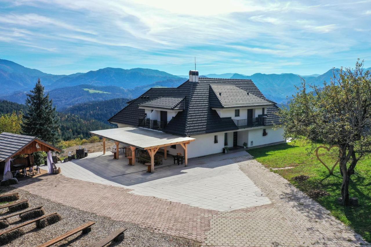Vila Marin Miler Prevalje Exteriér fotografie